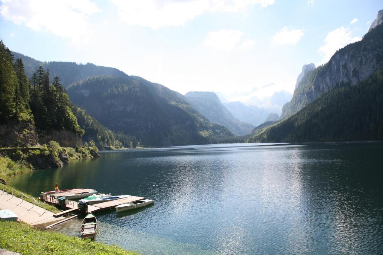 Appartement Predigstuhlblick Mit Indoorpool Und Sauna Bad Goisern Eksteriør billede